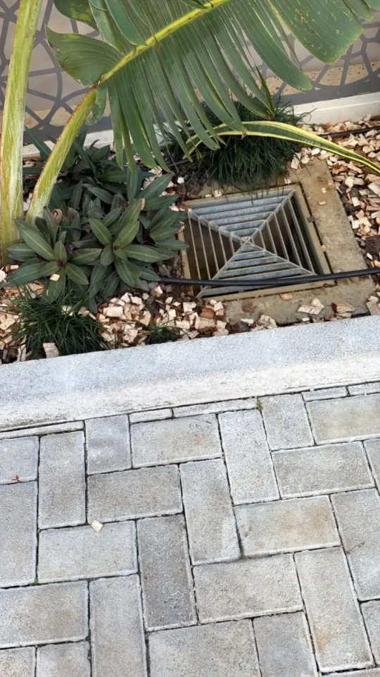 Tapis à vendre