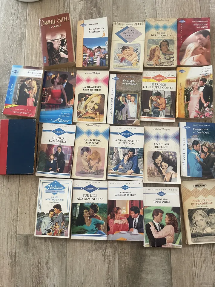 Lot of 21+ Harlequin and Danielle Steel Novels