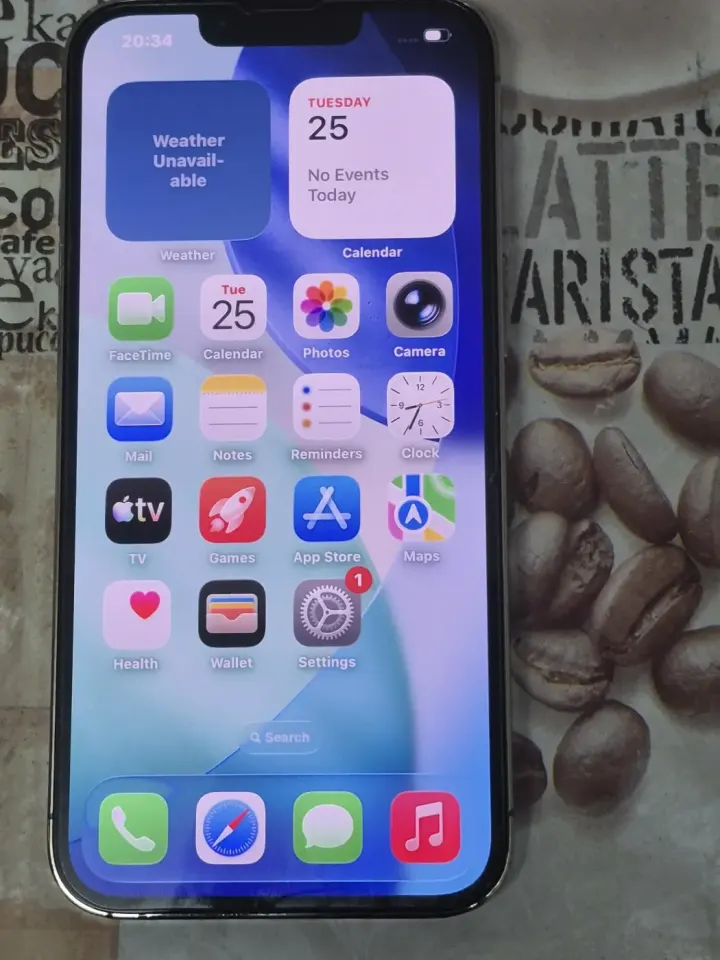 iPhone 13 Pro Max