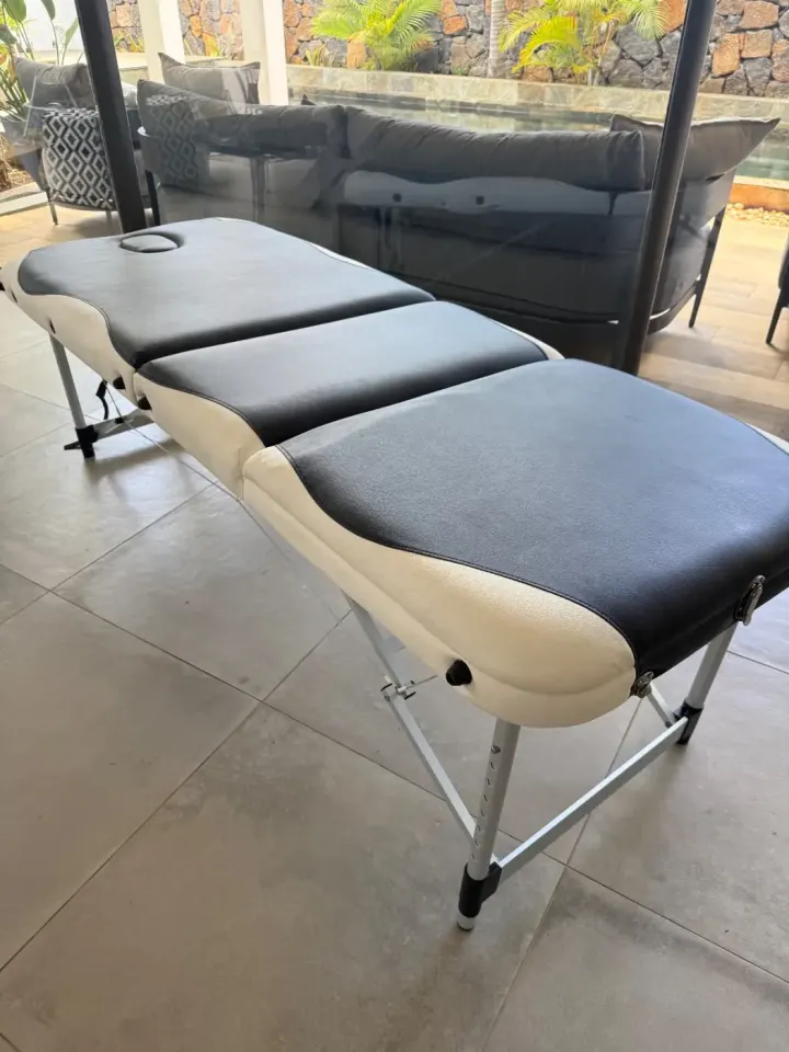 Portable massage table with accessories and carry case