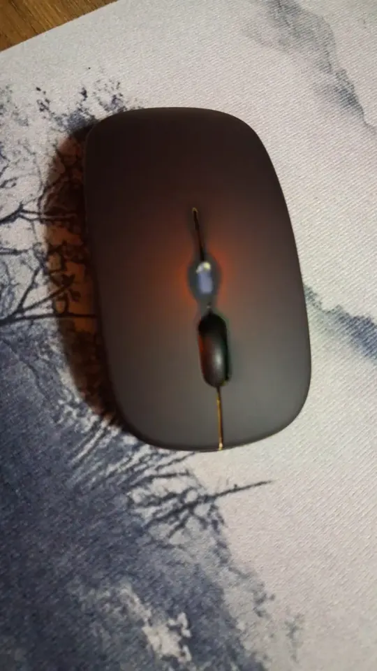 Souris d'ordinateur sans fil