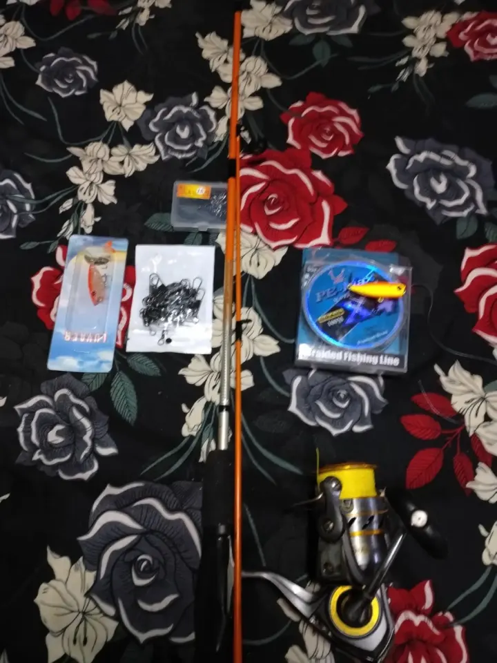 Ensemble Canne à Pêche, Moulinet et Accessoires
