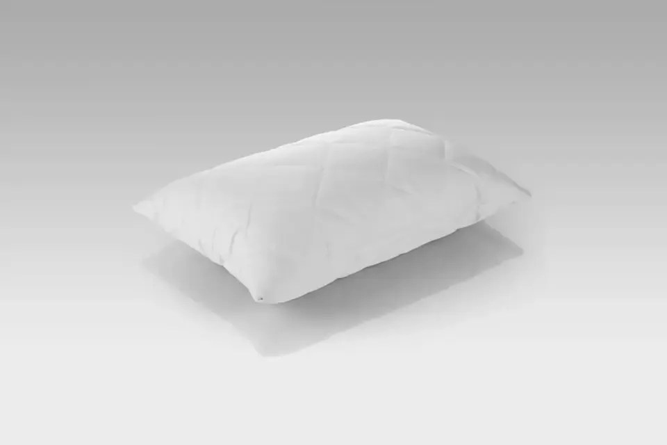 2 Brand New Latex Pillows
