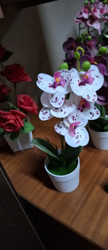 Artificial Orchid Plant in Pot