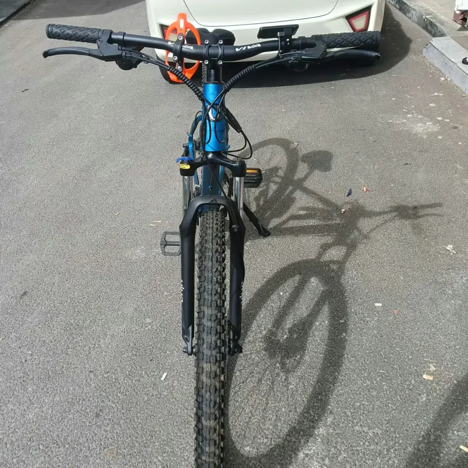 VIVA Mountain Bike - Blue