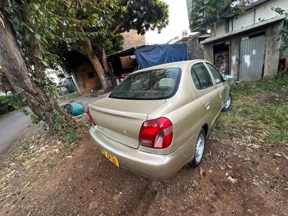 Toyota Platz Dorée