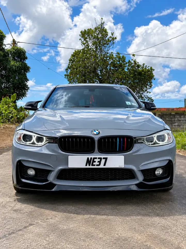 BMW 3 Series F30 316i