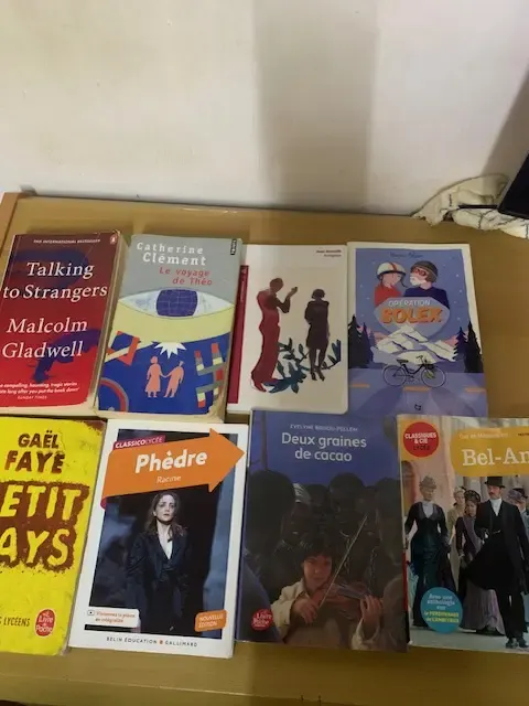 Assorted Books - Novels, Classics and Educational