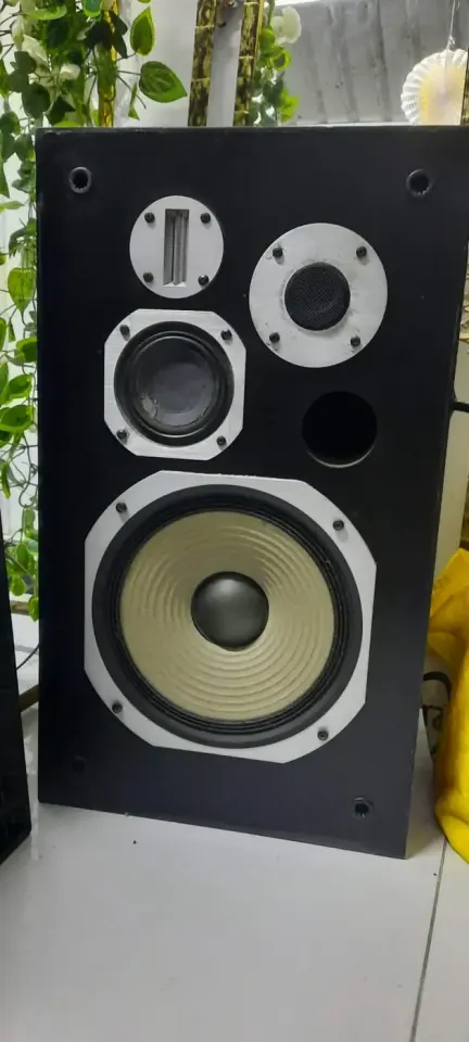 Pioneer Speaker