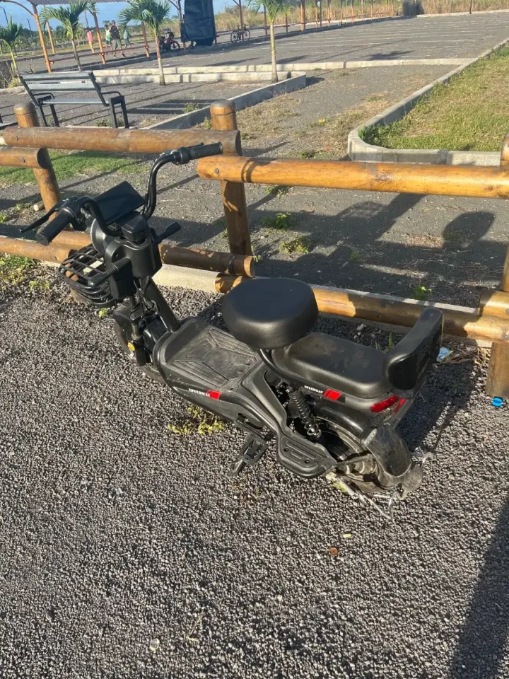 Electric Scooter / E-Bike