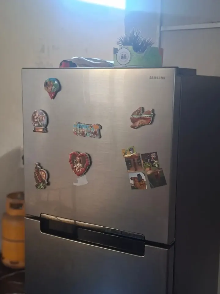 Samsung Double Door Refrigerator