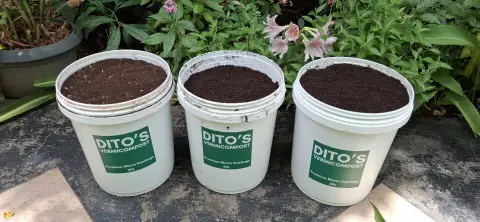 DITO'S Vermicompost Maurice Seau 20L