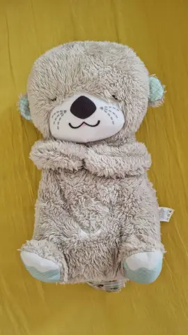 Musical Otter