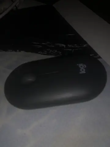 Souris