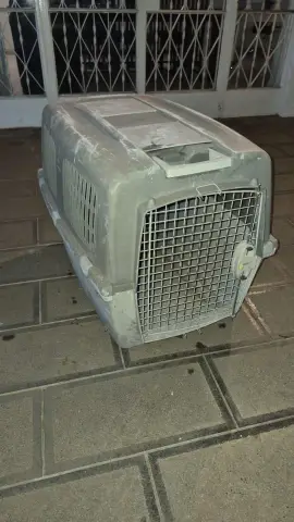 Cage 🐶