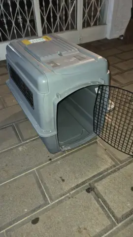 Dog crate