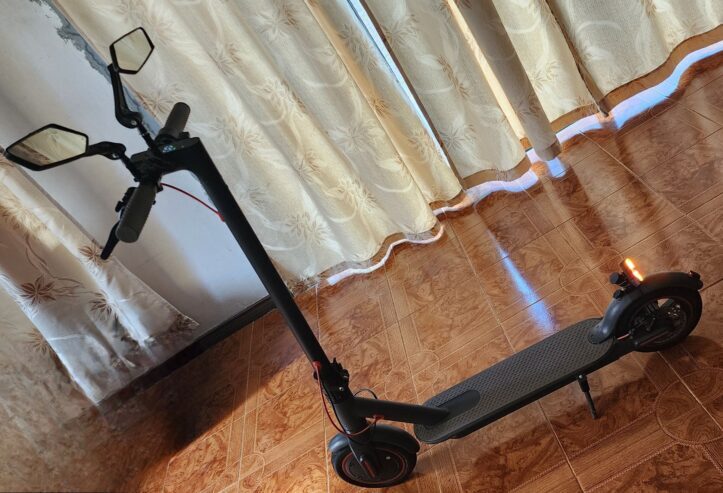 Gaupes Electric Scooter