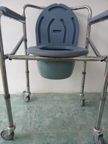 Toilet chair