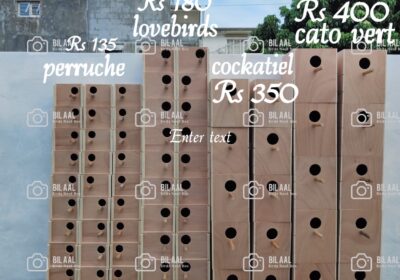 Elegant wooden wine racks for sale in Mauritius