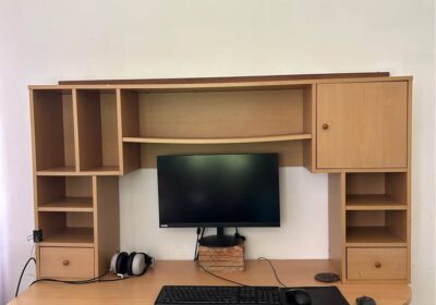 Dodo bird figurine on wooden desk with computer setup in Mauritius