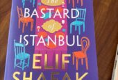 Bastard of Istanbul