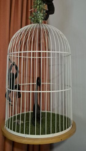 Decorative Vintage Cage