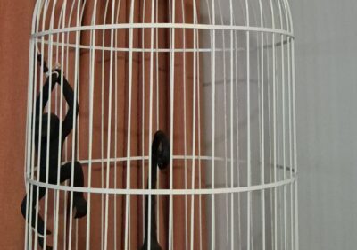 Birdcage with black bird figurine on green artificial grass base, white metal bars, wooden bottom, indoor decor.