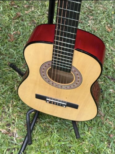 Guitar