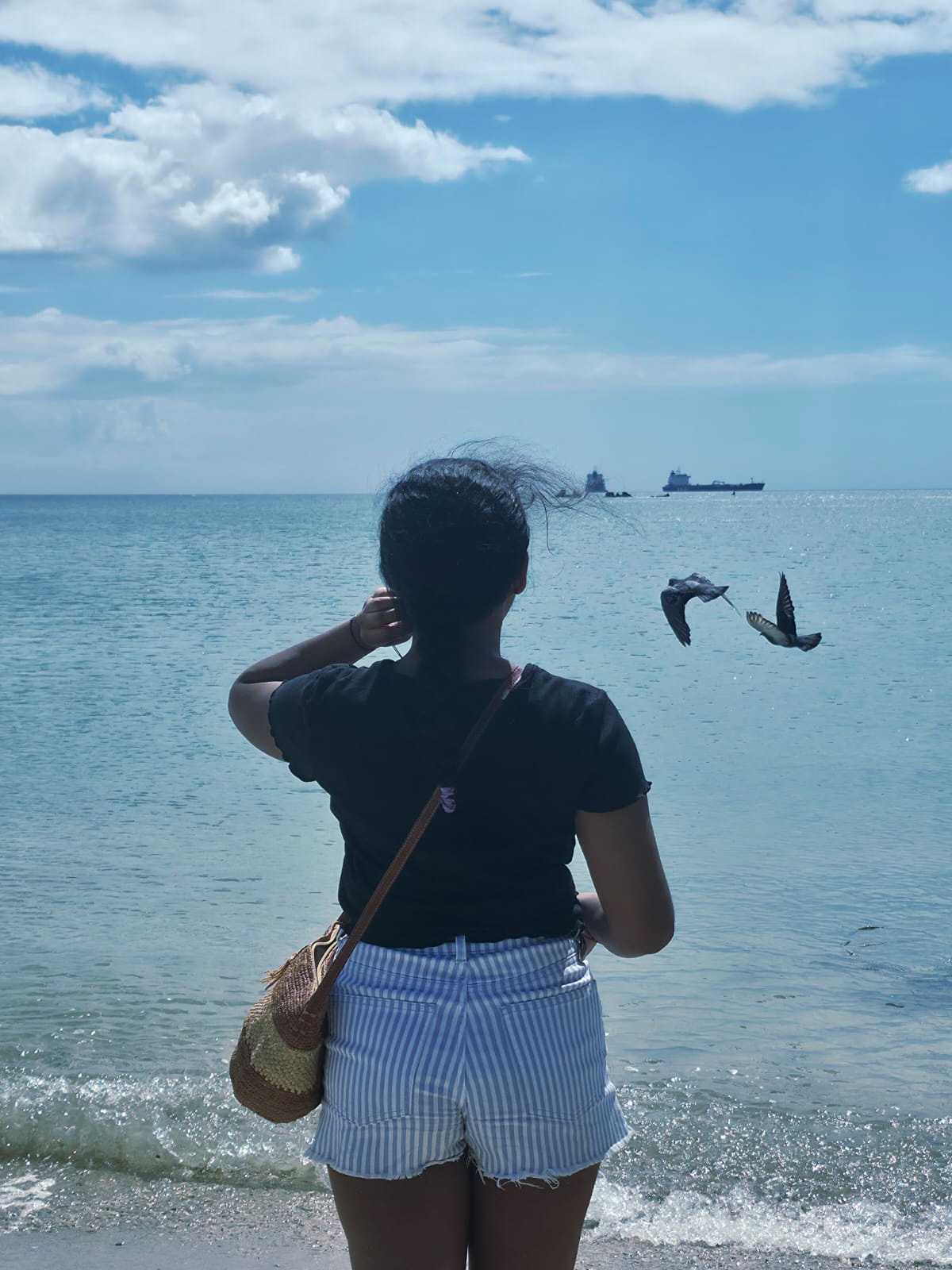 Seaside view featuring a woman in casual summer attire, watching seagulls fly over the ocean in Mauritius. Perfect for beach.