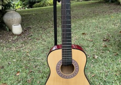 Guitar with pink capo and black stand