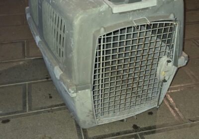 Pet Cage for Dogs – Durable Plastic, Gray