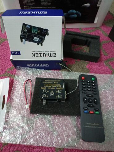 Arylic D10 Up2Stream