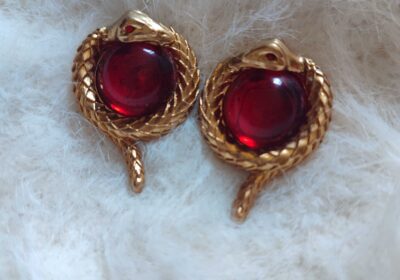 Gold snake-shaped earrings with red gemstone centers, elegant jewelry accessory.