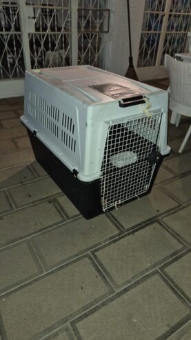 Cage chien XXL