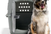 Travel Kennel for dog