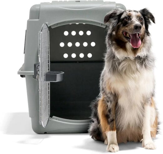 Travel Kennel for dog