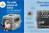 Travel Kennel for dog