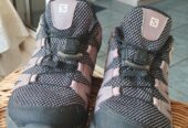 Salomon Hiking shoes