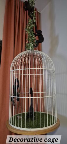 Decorative cage