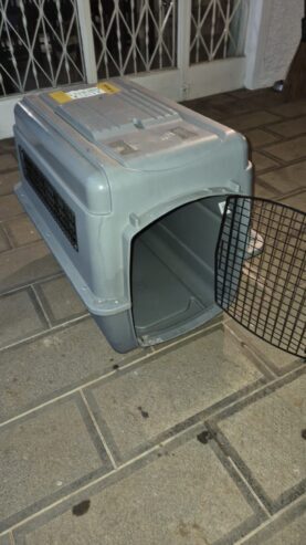 Cage chien