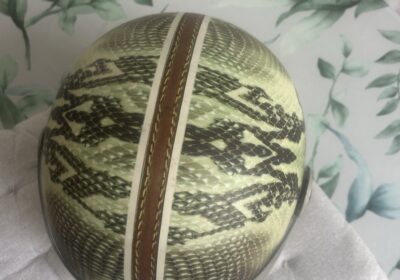 Vintage Python Patterned Helmet