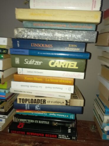 Lot of 100 books for sale near pointe aux canonniers