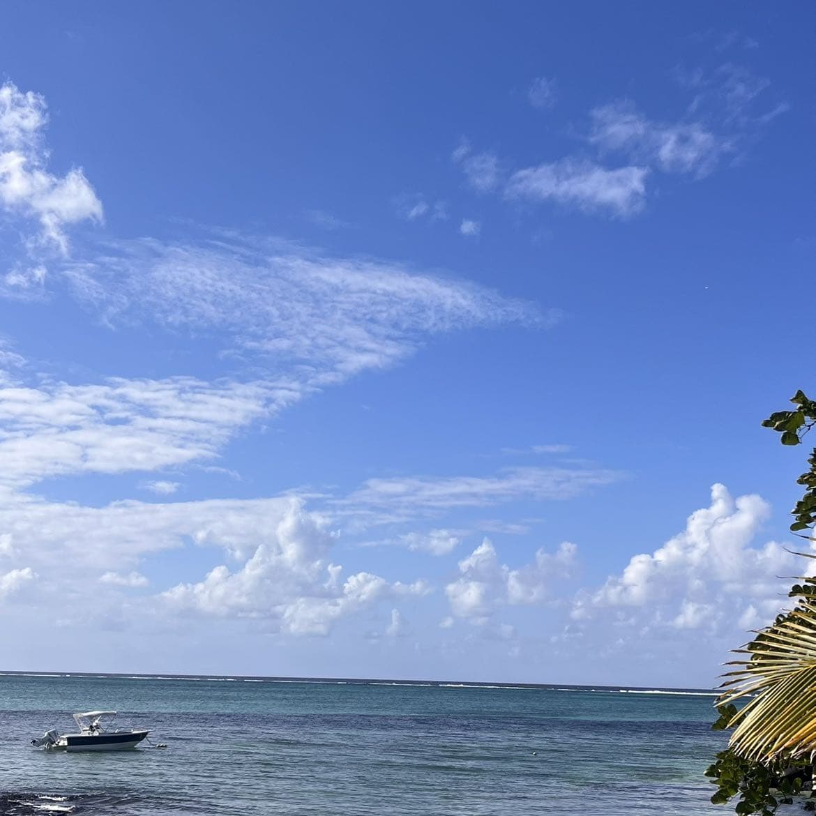 Scenic Mauritius beach with clear blue sky, calm sea, and a small boat floating near the shore.